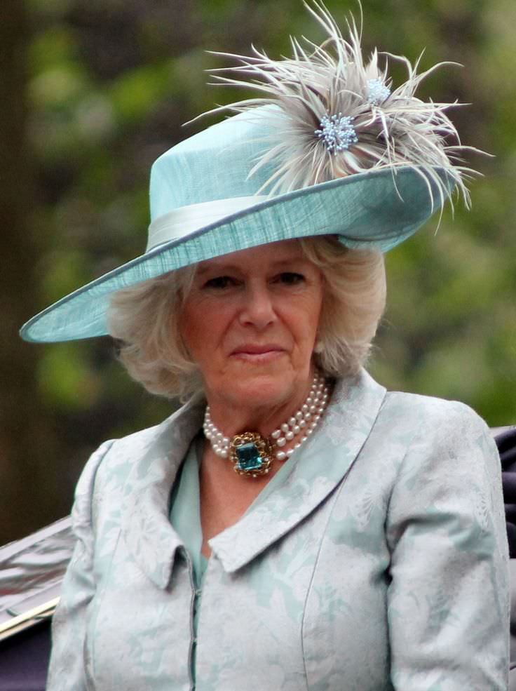 camilla, duchess of cornwall